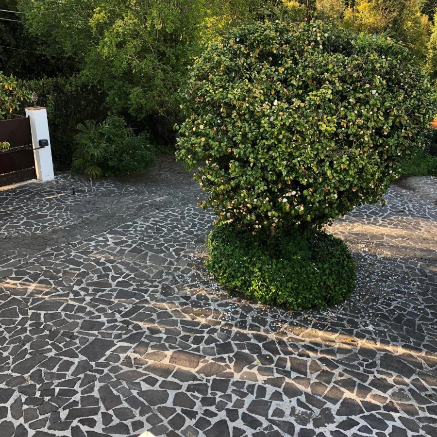 Casa Gramapa Villa Rocca Priora  ภายนอก รูปภาพ